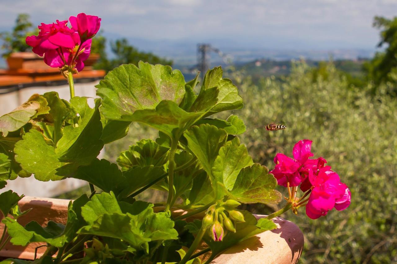 Poggio Della Roverella Country House Morlupo Bagian luar foto